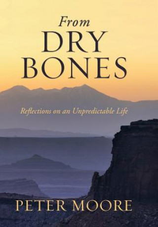 Kniha From Dry Bones Peter Moore