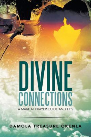 Kniha Divine Connections Damola Treasure Okenla