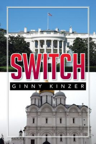 Könyv Switch Ginny Kinzer