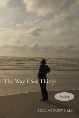 Kniha Way I See Things Adolfo Rudy Gelsi