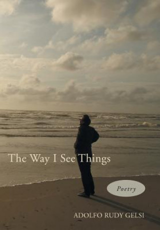 Kniha Way I See Things Adolfo Rudy Gelsi