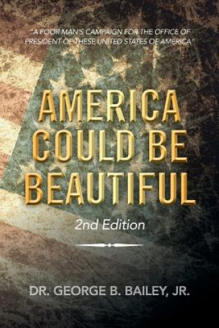 Kniha America Could Be Beautiful Bailey