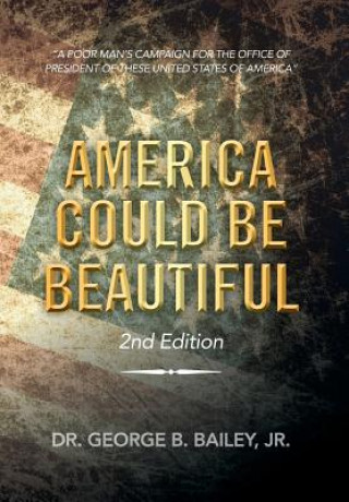 Buch America Could Be Beautiful Bailey