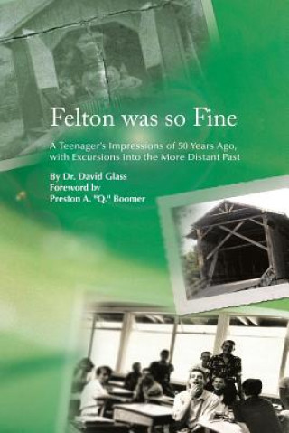 Kniha Felton Was So Fine Glass