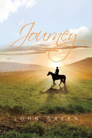 Knjiga Journey Dr John (Chartered civil engineer) Green