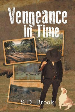 Book Vengeance in Time S D Brook