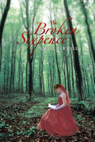 Buch Broken Sixpence Maggie Turrell