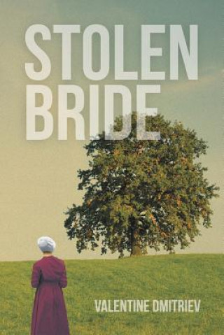 Book Stolen Bride Valentine Dmitriev