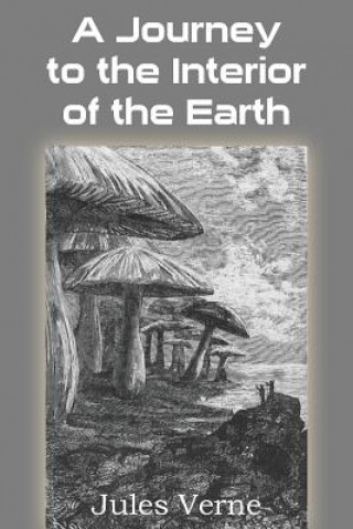 Książka Journey to the Interior of the Earth Jules Verne