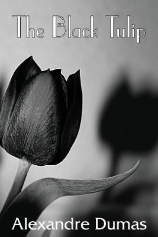 Könyv Black Tulip Alexandre Dumas