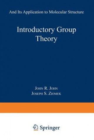 Kniha Introductory Group Theory Joseph S. Ziomek