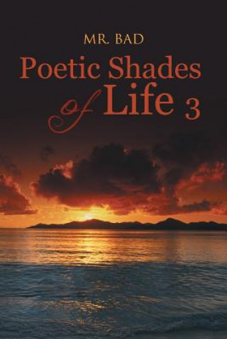 Buch Poetic Shades of Life 3 Mr. Bad