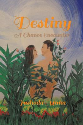 Kniha Destiny Y Mann