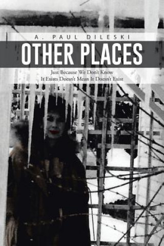 Buch Other Places A Paul Dileski