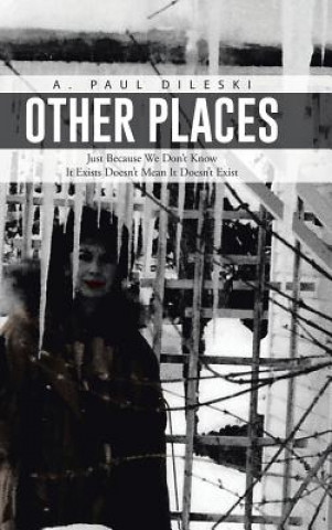 Buch Other Places A Paul Dileski