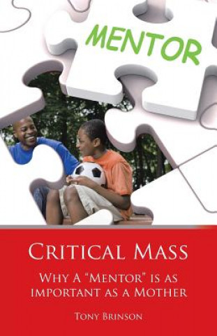 Livre Critical Mass Tony Brinson