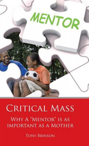 Libro Critical Mass Tony Brinson