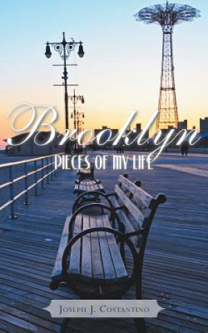 Knjiga Brooklyn Pieces of My Life Joseph J Costantino