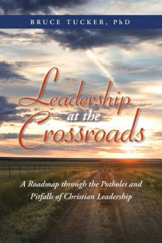 Kniha Leadership at the Crossroads Bruce Tucker Phd