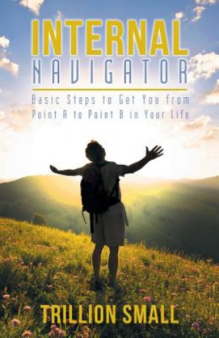 Kniha Internal Navigator Trillion Small