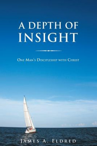 Kniha Depth of Insight James a Eldred