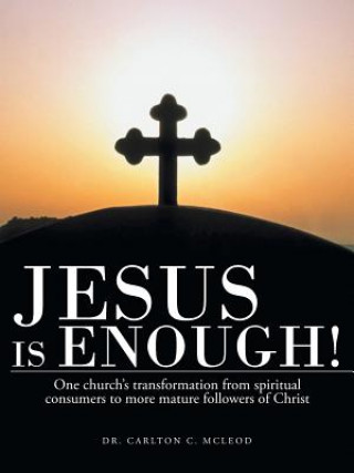 Kniha Jesus Is Enough! McLeod