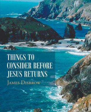 Knjiga Things to Consider Before Jesus Returns James Disbrow