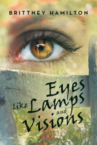 Buch Eyes Like Lamps and Visions Brittney Hamilton