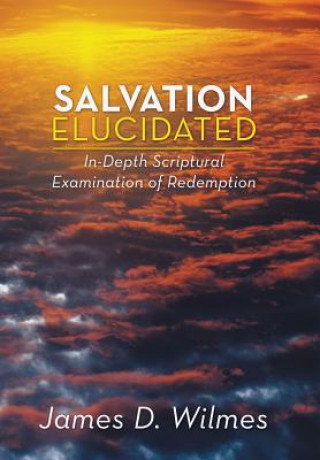 Knjiga Salvation Elucidated James D Wilmes