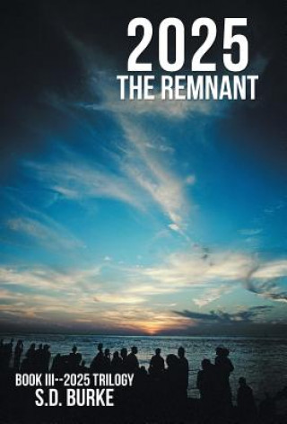 Buch 2025 the Remnant S D Burke