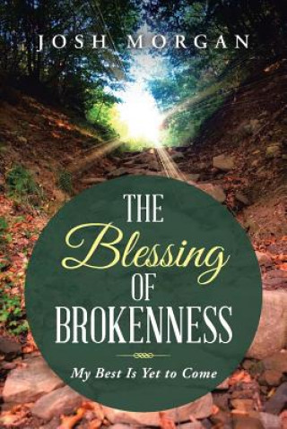 Книга Blessing of Brokenness Josh Morgan