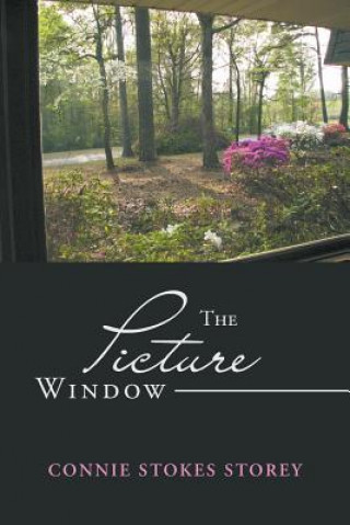 Knjiga Picture Window Connie Stokes Storey