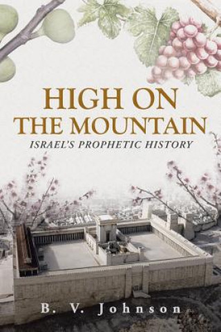 Kniha High on the Mountain B V Johnson