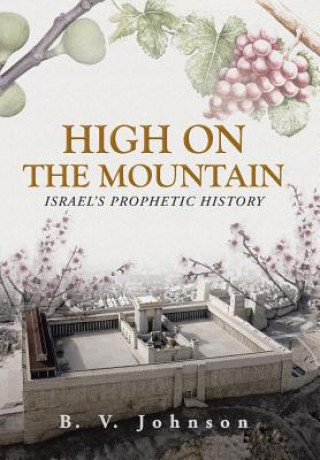 Kniha High on the Mountain B V Johnson