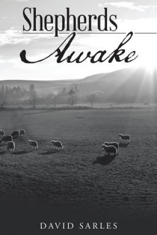 Kniha Shepherds Awake David Sarles