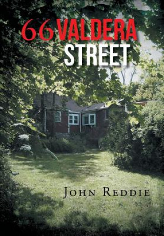 Könyv 66 Valdera Street John Reddie