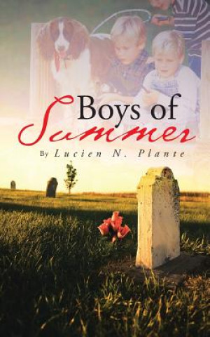 Carte Boys of Summer Lucien N Plante