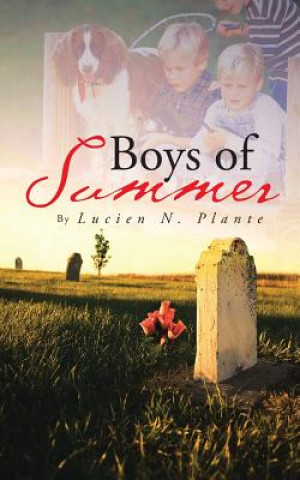 Buch Boys of Summer Lucien N Plante