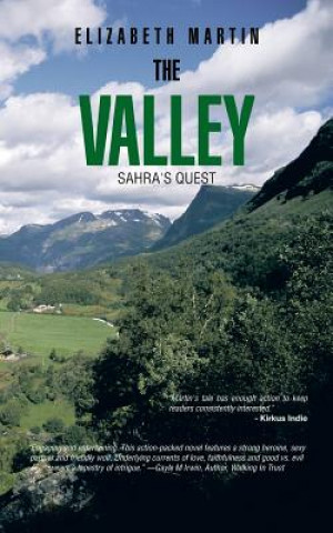 Kniha Valley Martin