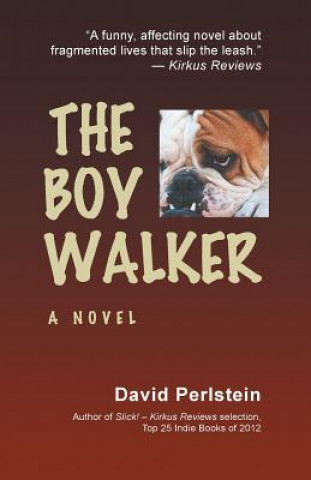 Kniha Boy Walker David Perlstein