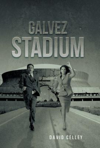 Libro Galvez Stadium David Celley