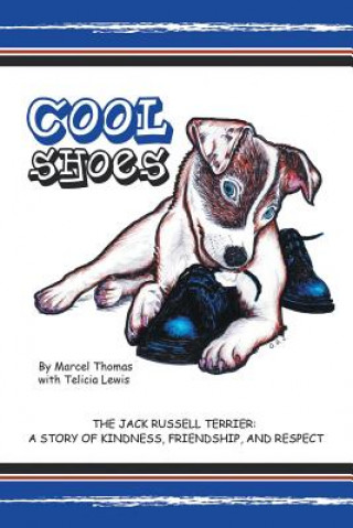 Könyv Cool Shoes Marcel Thomas