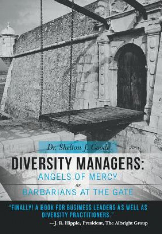 Kniha Diversity Managers Goode