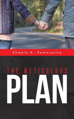 Carte Meticulous Plan Sheela K Ramasesha