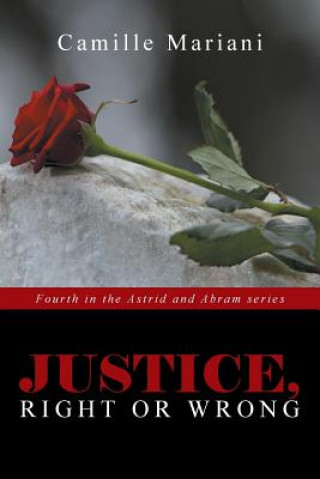 Книга Justice, Right or Wrong Camille Mariani