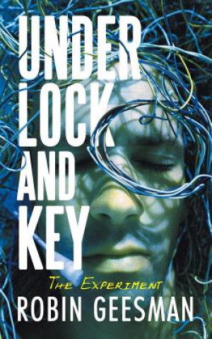 Kniha Under Lock and Key Robin Geesman