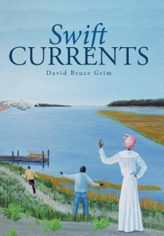 Книга Swift Currents David Bruce Grim