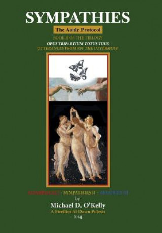 Boek Sympathies Michael D O'Kelly