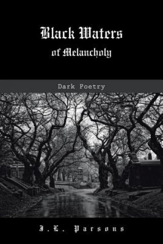 Buch Black Waters of Melancholy J L Parsons