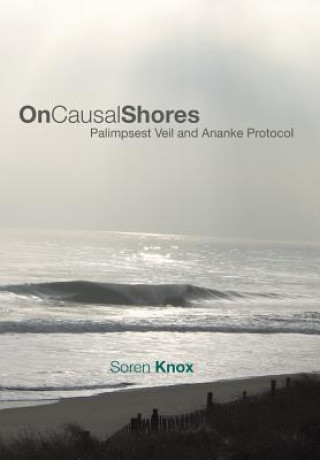 Libro On Causal Shores Soren Knox